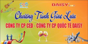 Ced daisy