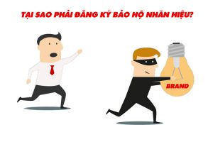 Vai tro dang ky nhan hieu1